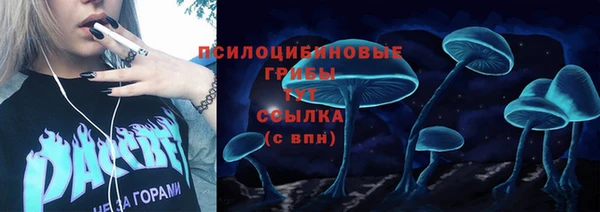 mdma Дмитров