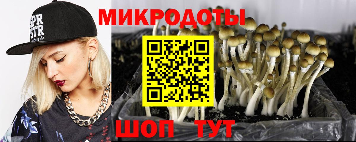 Галлюциногенные грибы мицелий Рузаевка