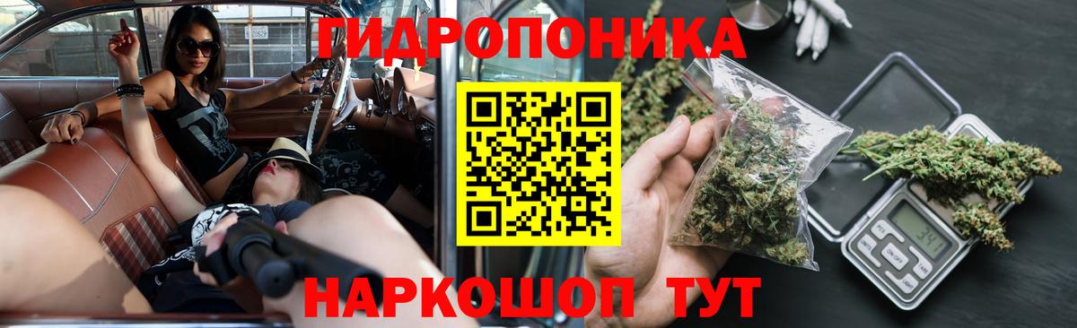 Бошки Шишки гибрид Рузаевка